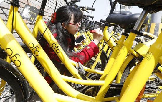 李冬雨在北京街頭為被劃掉多位數字的共用單車補牌。新華社記者 張玉薇/攝