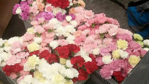 美國校園暖男打工一年半情人節前買花送全校女生