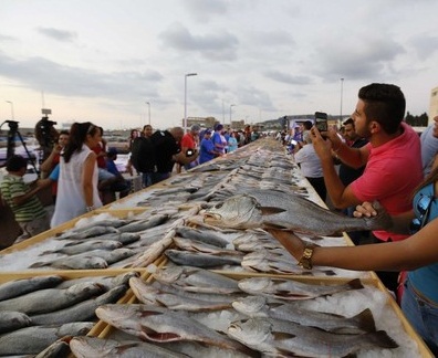 海鮮愛好者的盛宴！黎巴嫩展示逾兩噸海鮮創紀錄