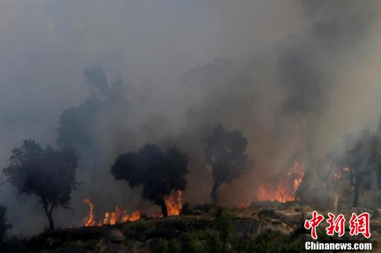 葡萄牙發生森林大火 火勢蔓延濃煙滾滾