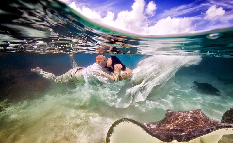 美國新婚夫婦海底拍絕美婚禮照片