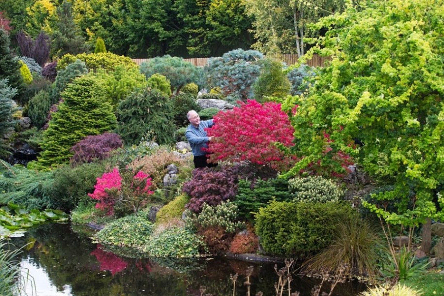 英國老人花25年打造夢境花園 每天從早幹到晚