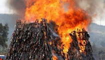 肯亞公開焚燬數千把非法槍支 現場火焰熊熊