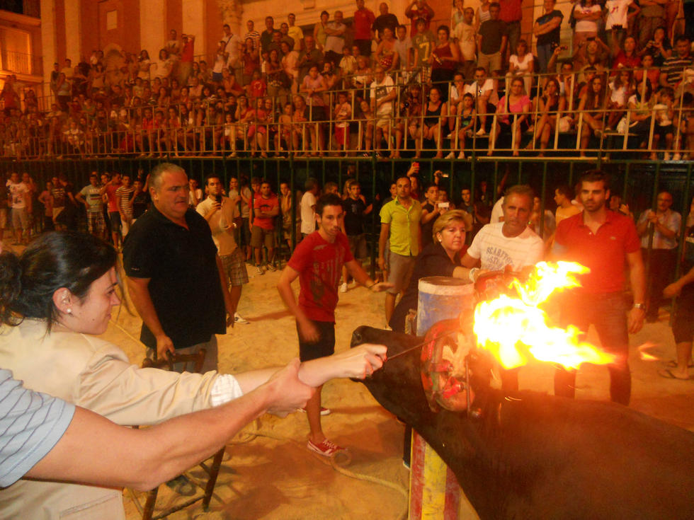 太殘忍！西班牙祭典將活牛涂滿泥漿綁上火把燒死