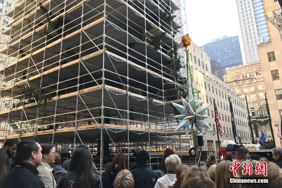 紐約搭建大型聖誕樹