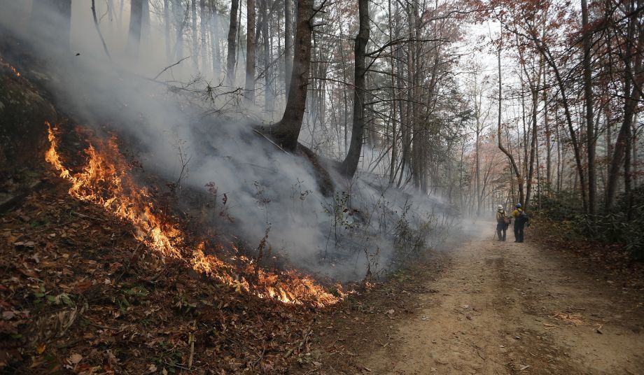 美國東南部山火肆虐 吞滅8萬英畝土地