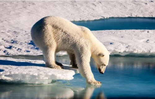 氣候變遷致北極圈氣溫持續變高專家：極為異常