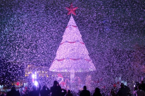夢幻聖誕樹閃耀黎巴嫩：漫天飛花美輪美奐（圖）