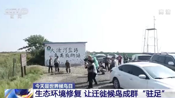 世界候鳥日丨我國生態環境持續改善 吸引候鳥駐足“加油”