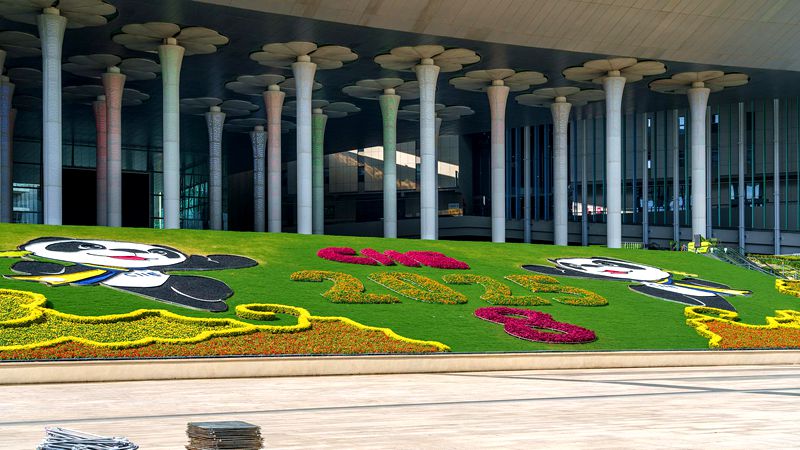 會老友、交新朋 又是一年“進博時間” 會老友、交新朋 又是一年“進博時間”