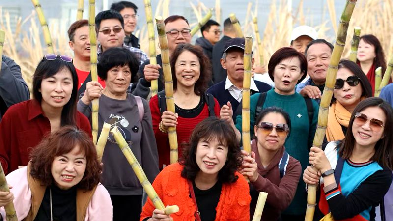 臺灣民宿交流團橫溪之旅甜度爆表