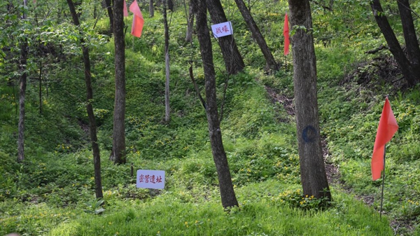 白山黑水見證：從烽火硝煙到振興熱土的巨變
