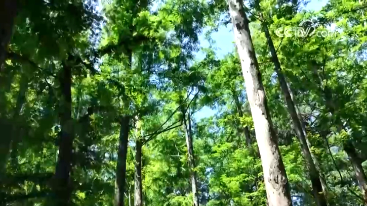 W020250702403446590909_副本.jpg