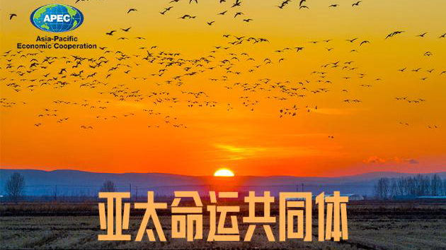 這,就是APEC! 這,就是APEC!