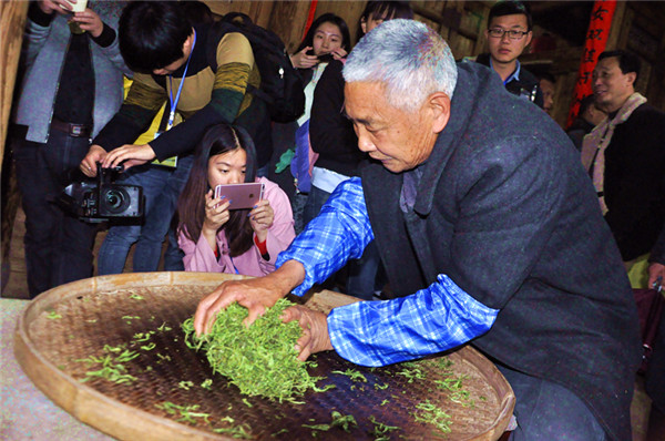 閩東茶鄉行：“天山茶舍”體驗傳統制茶工藝