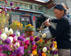 西藏自治區成立50週年：從新居走向新生活