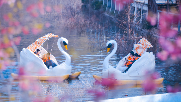 愛麗絲莊園3_副本1.jpg